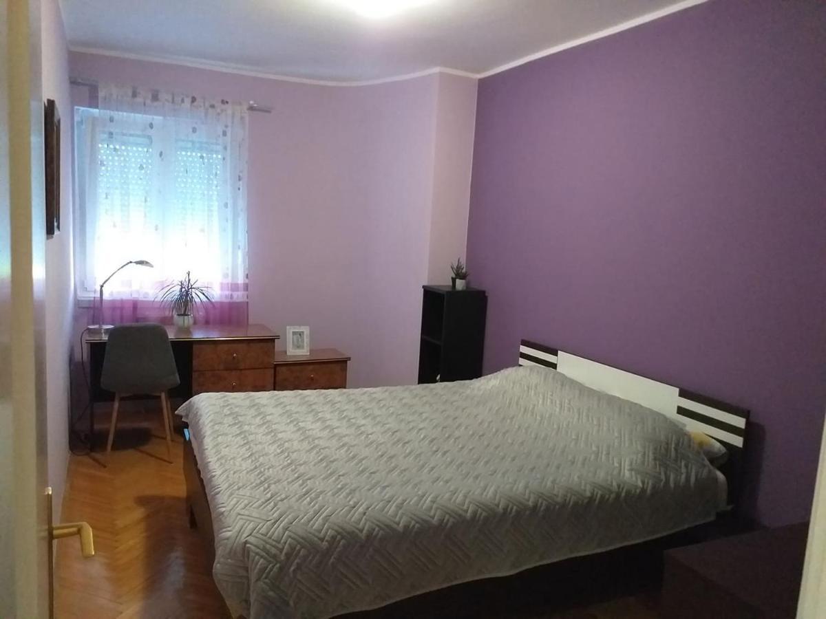 Apartment City Center 노비사드 외부 사진